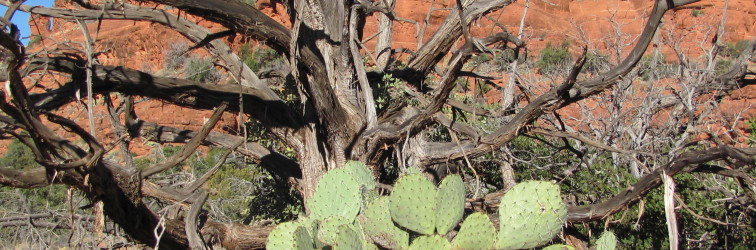 Capitol Butte Hike near Sedona Arizona